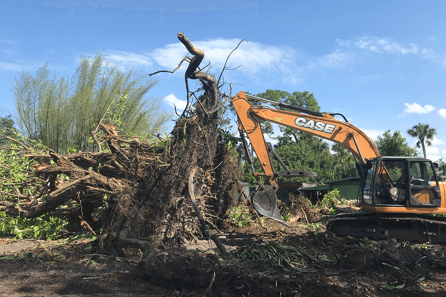 Case excavator moving trees