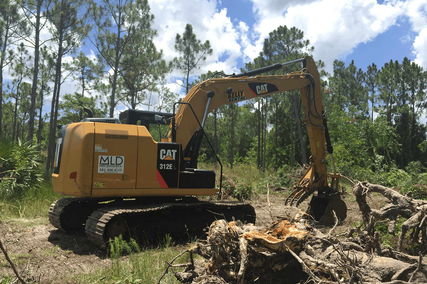 Cat excavator moving trees