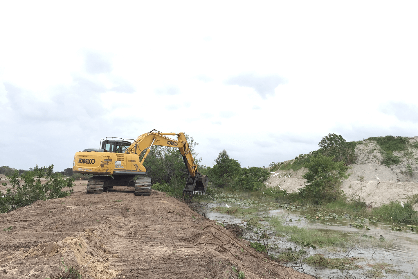 Excavator moving brush and dirt in a swamp